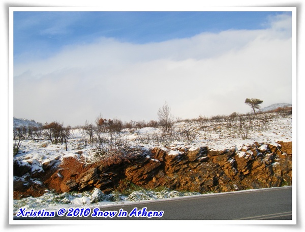 DSCF5246.JPG DSCF5246.JPG