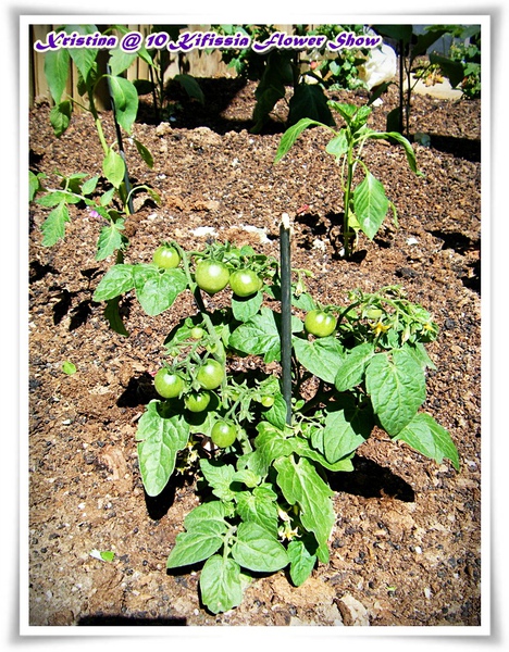 DSCF0788.JPG DSCF0788.JPG