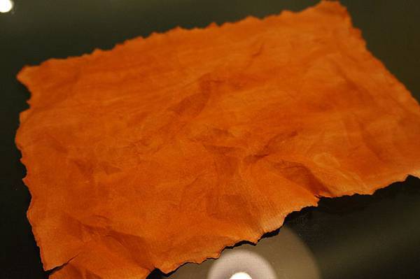 DSC02827.jpg DSC02827.jpg