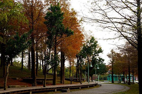 DSC04873.jpg DSC04873.jpg