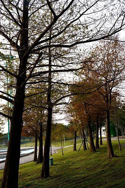 DSC04874.jpg DSC04874.jpg