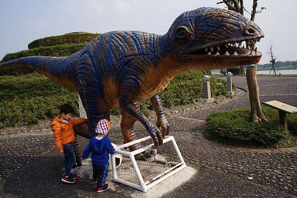 DSC04906.jpg DSC04906.jpg