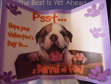 可愛的情人卡 可愛的情人卡