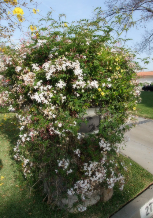 324--Sakuto and Doris