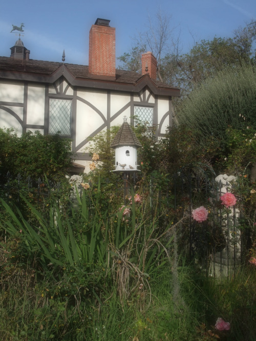 324--Sakuto and Doris