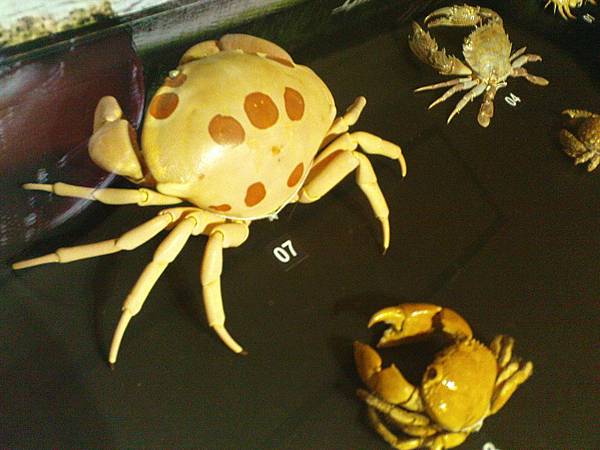 DSC03646.JPG DSC03646.JPG