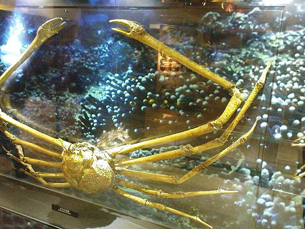 DSC03654.JPG DSC03654.JPG