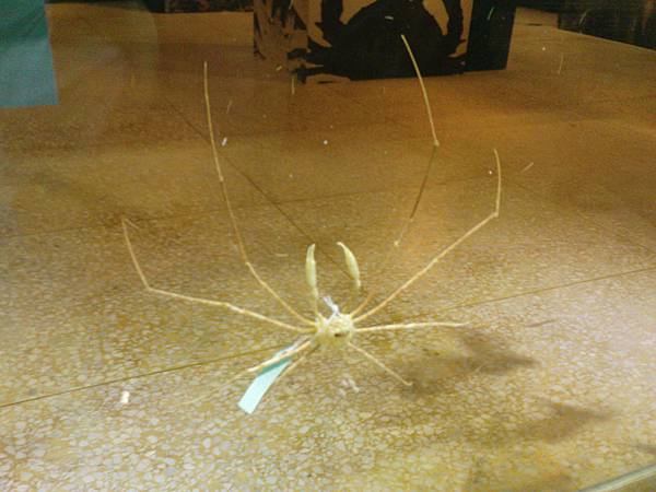 DSC03669.JPG DSC03669.JPG