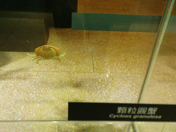 DSC03672.JPG DSC03672.JPG