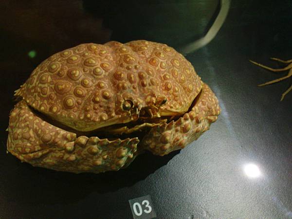 DSC03674.JPG DSC03674.JPG