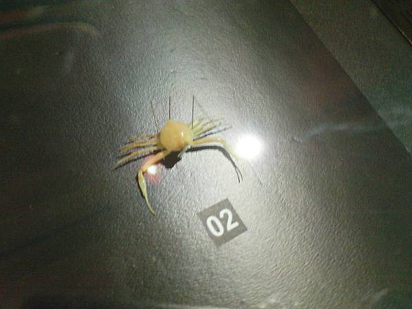 DSC03673.JPG DSC03673.JPG