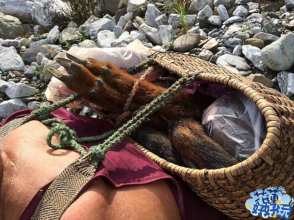 IMG_4639.jpg IMG_4639.jpg