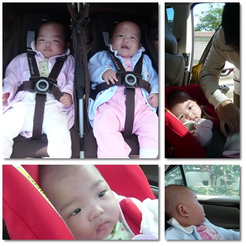 201001散步去.jpg 201001散步去.jpg