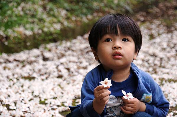 2014台北景點推薦-花園新城後山油桐花秘境＂直潭山登山步道＂嬰兒車也很方便喔