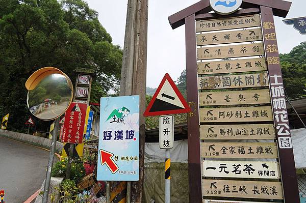 新北市景點推薦-2014油桐花路線＂桐花公園．承天寺．＂4/26現場花況