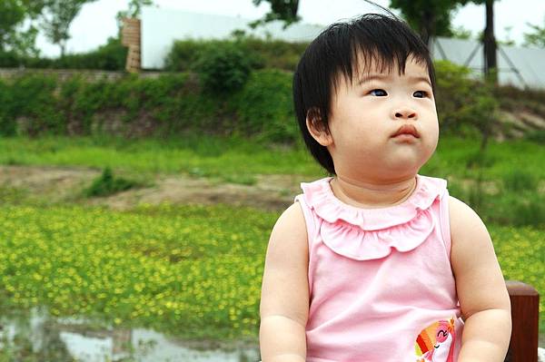 台南景推薦-台灣也有超美的白宮喔 "台南都會公園奇美博物館"台南景推薦-台灣也有超美的白宮喔 "台南都會公園奇美博物館"