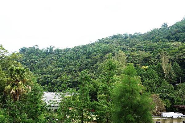 南投住宿推薦-入住埔里桃米生態村的樟木香民宿＂埔里佳園民宿＂