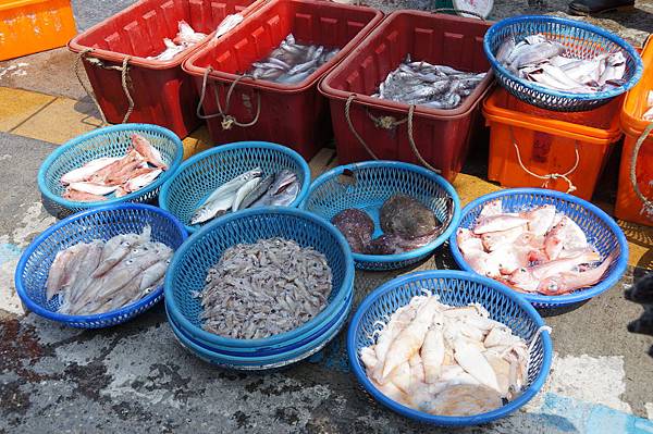 宜蘭景點推薦-在地人都來這買，超新鮮海鮮都在宜蘭＂大溪漁港＂