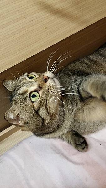 10703582_943890932293065_6619121496947218574_n