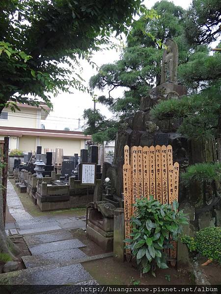 DSC03382.JPG DSC03382.JPG