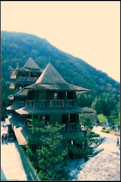 IMG_7713.jpg IMG_7713.jpg