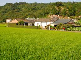 農村.jpg