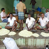 0530印度市場茉莉花苞