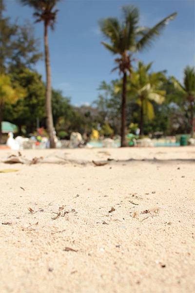 535658_10200730603376012_865407409_n