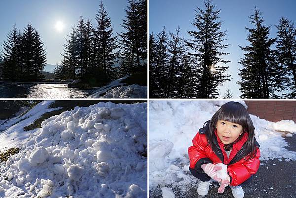 Photo_yy0012.jpg Photo_yy0012.jpg