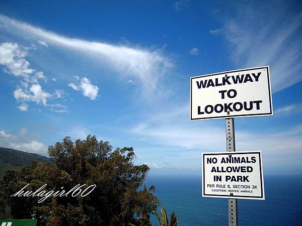 lookout1