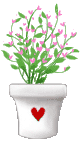 花 花