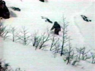 雪怪 雪怪