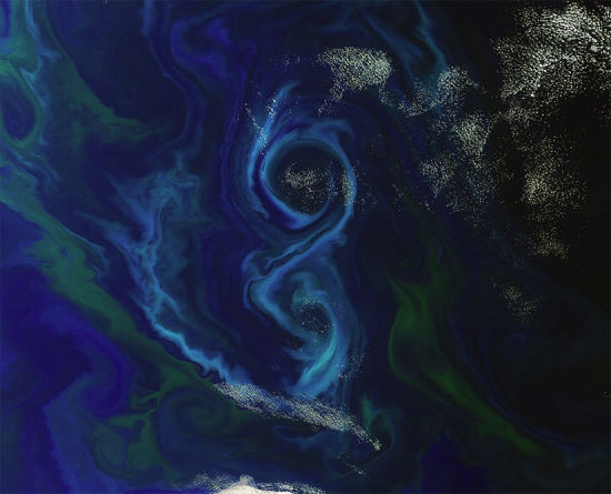 浮游生物超級8,藍色恆星 浮游生物超級8,藍色恆星