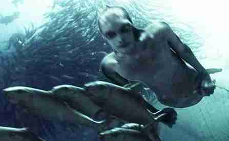 海猿,美人魚 海猿,美人魚