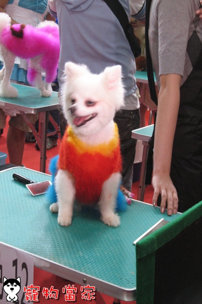 哈士奇居家清潔公司-寵物當家-2010寵物用品展35.jpg