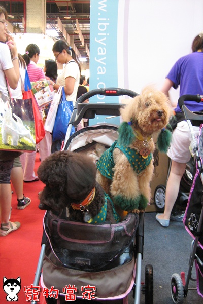 哈士奇居家清潔公司-寵物當家-2010寵物用品展10.jpg
