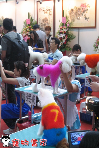 哈士奇居家清潔公司-寵物當家-2010寵物用品展36.jpg