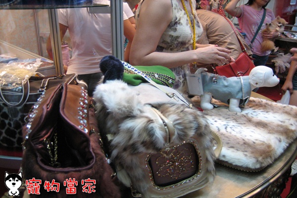 哈士奇居家清潔公司-寵物當家-2010寵物用品展13.jpg