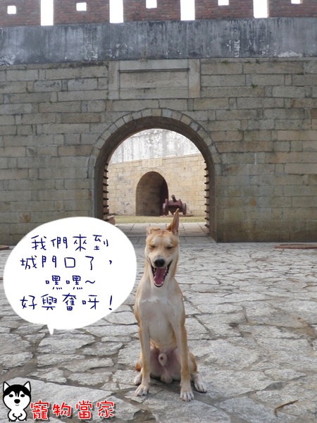 哈士奇居家清潔公司-寵物當家-府城南門公園5.JPG