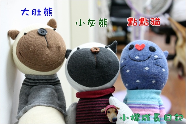 哈士奇居家清潔公司-寵物當家-小摺與襪子娃娃1.JPG