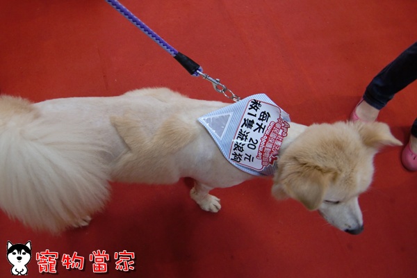 哈士奇居家清潔公司-寵物當家-2010寵物用品展5.JPG