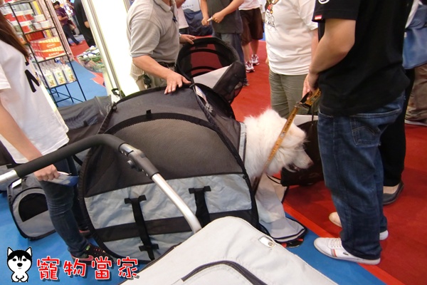 哈士奇居家清潔公司-寵物當家-2010寵物用品展31.JPG