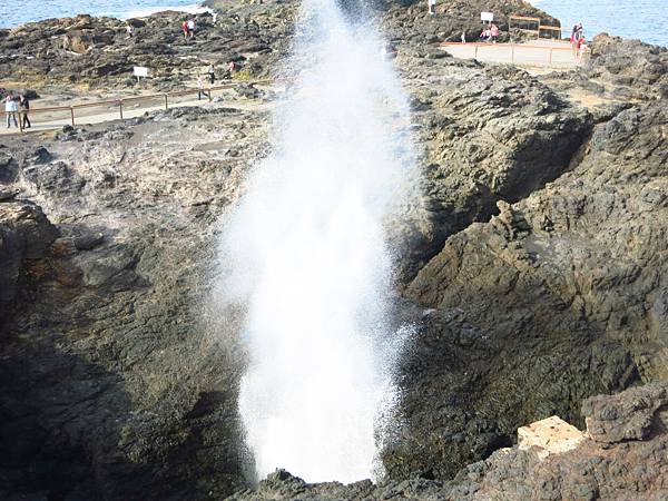 IMG_8195_meitu_14 IMG_8195_meitu_14