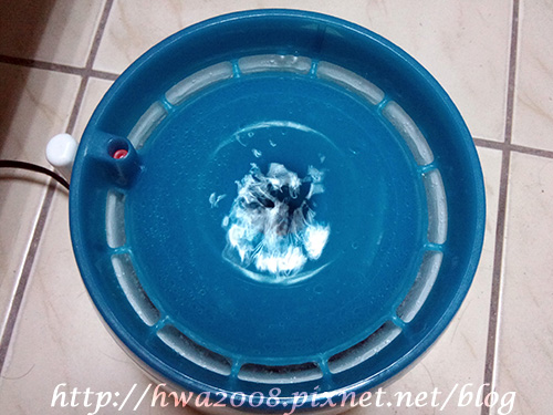 20100920 貓噴泉-使用中的樣子 20100920 貓噴泉-使用中的樣子