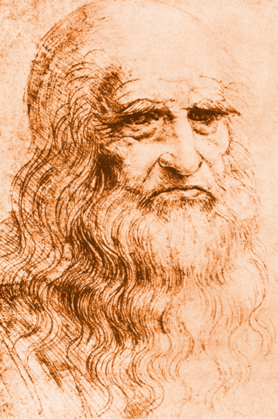 Leonardo da Vinci's Self-portrait Leonardo da Vinci's Self-portrait