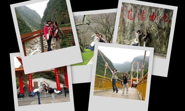 collage.jpg collage.jpg