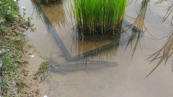 536856_587428724653897_527870423_n