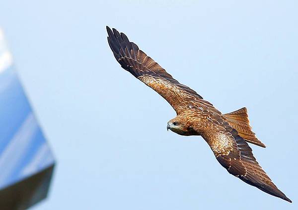 10646874_277210529134769_3187039064944357319_n