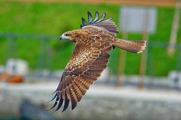 10406426_277210759134746_6808169094065861378_n