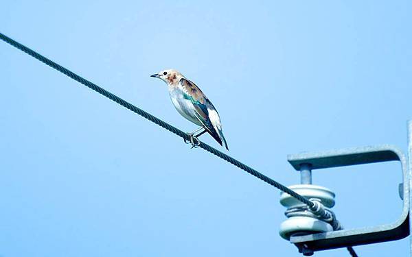 10698693_530986403714171_5931869057857369353_n